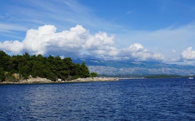 Tatjana - 300 m from beach - A2(4)