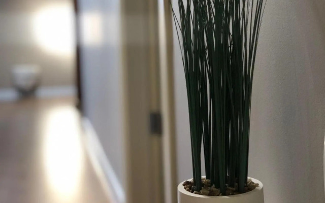 MiTRa Luxury Apartments