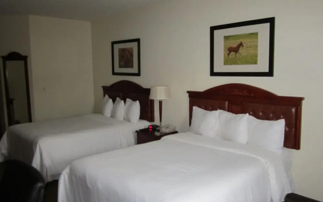 Trend Mountain Hotel & Conference Centre