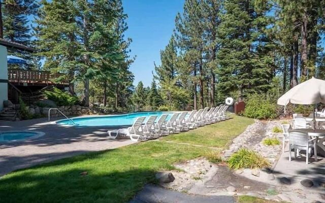 3411 Pine Hill Road By Redawning