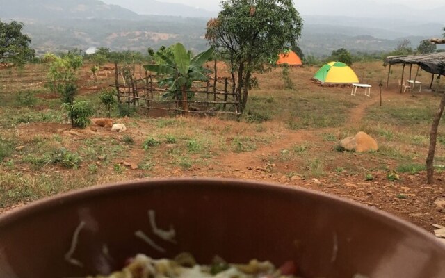 Canary Forest Camping