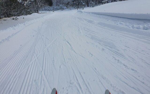 SNOWED INN apartment