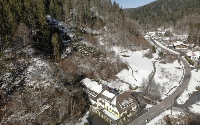 Black Forest Family Apartment-Zum Letzten G'Stehr