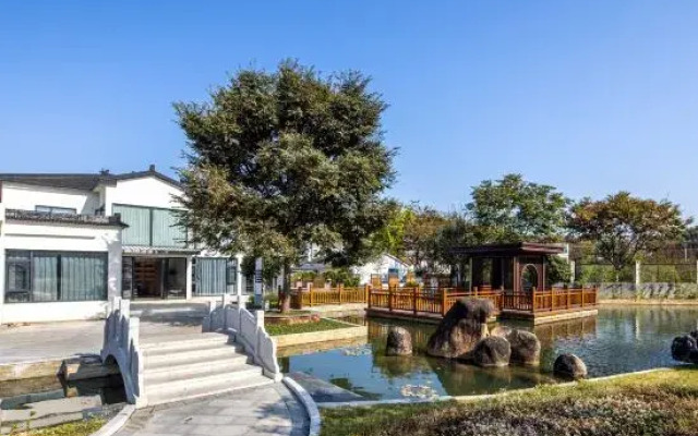 Nanshan Bamboo Sea Ann Diffuse cloud mu homestay