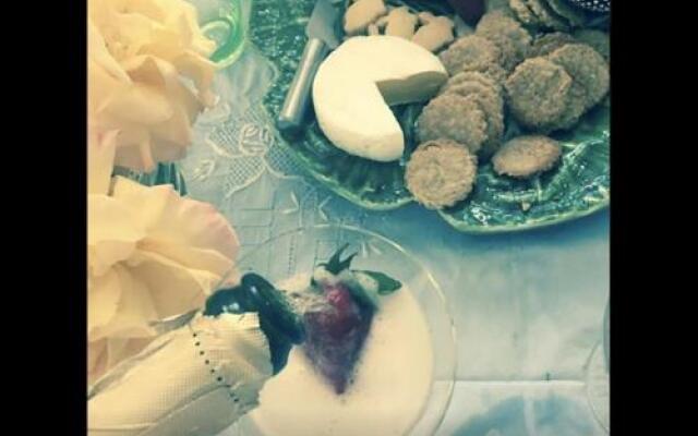 Follow The White Wabbit