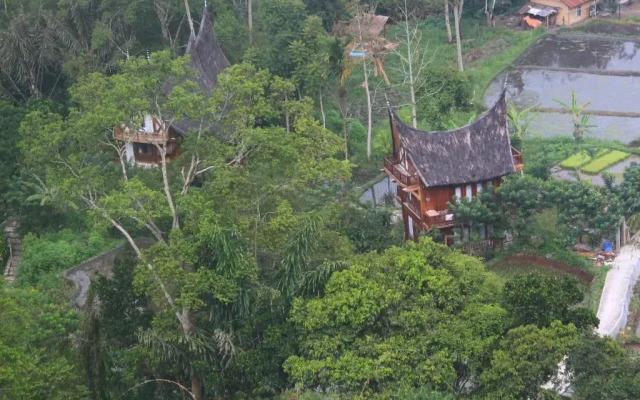 Padi Ecolodge
