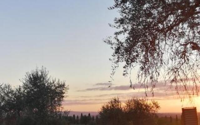 Appartamento Camelia a Castelfalfi