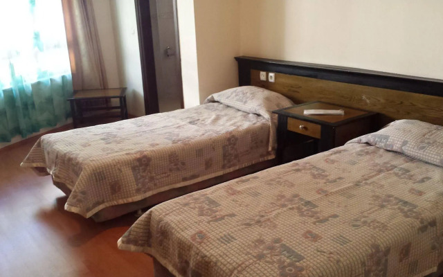 Pinus Otel