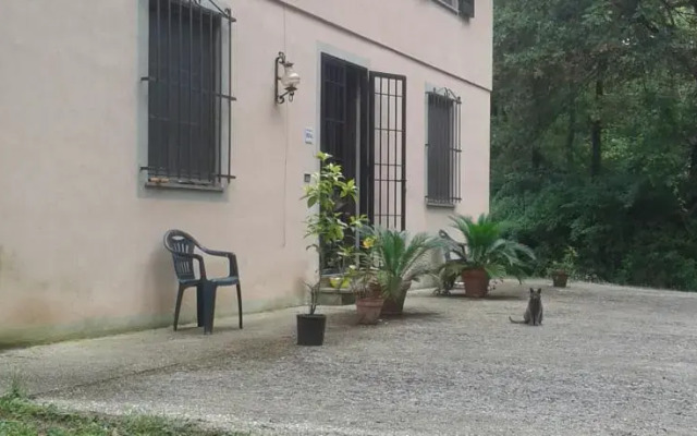Park View Country House