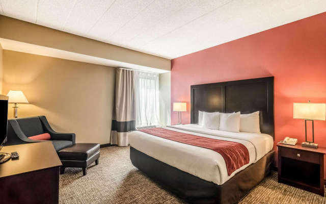 Comfort Inn Convention Center - Chicago O'hare Airport