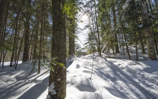 The Canadian Ecology Centre