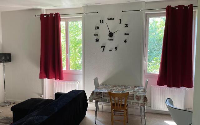 APPARTEMENT AU CENTRE VILLE de ROANNE 50 m²