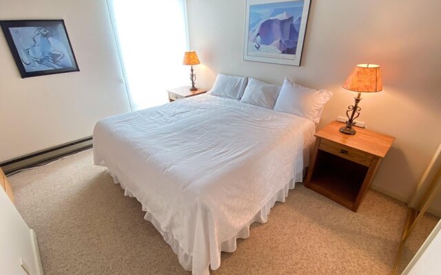 #305 Vail International