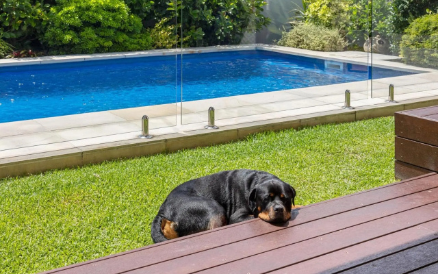 The Doggy Beach House at Pottsville