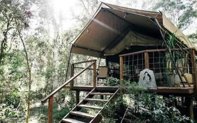 Paperbark Camp