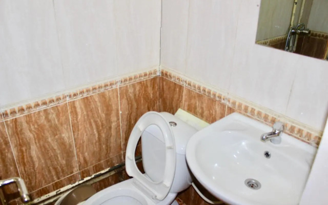 City Hostel & Tours