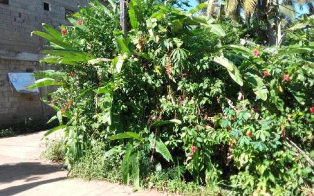 Sunshine Guesthouse
