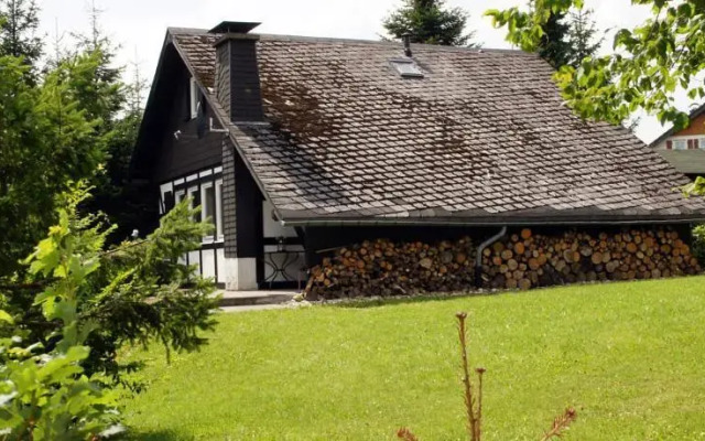 Winterberg Chalet 21069