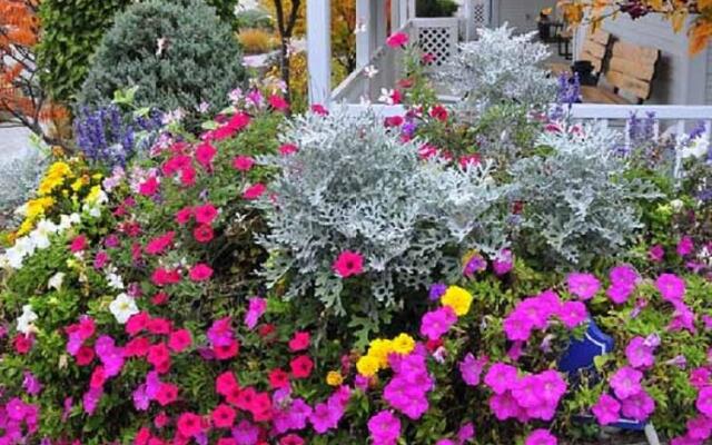 Best Western Plus Howe Inn