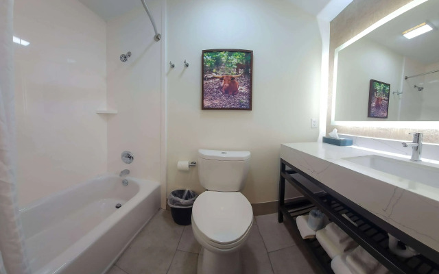 La Quinta Inn & Suites by Wyndham Dallas Mesquite