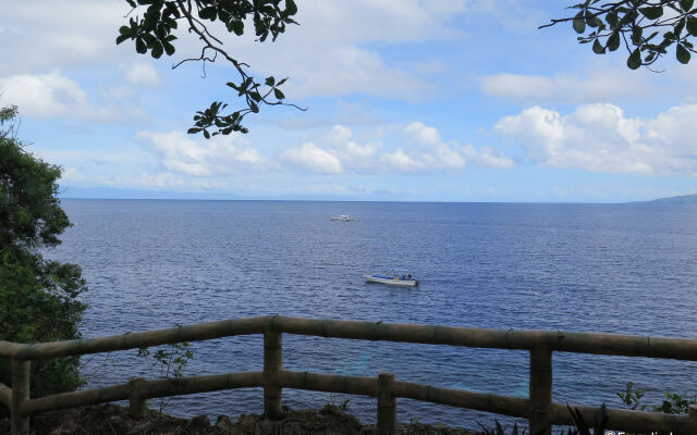 Alexis Cliff Dive Resort