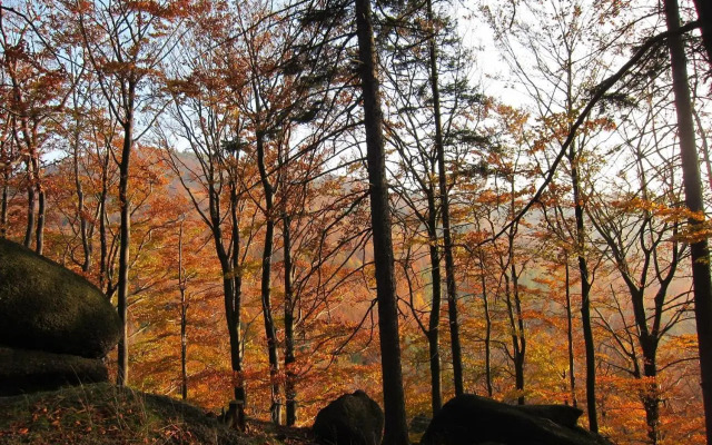 Penzion Bazalka