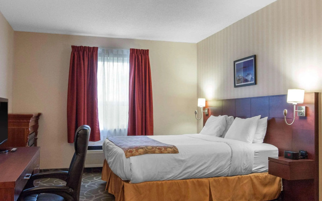 Quality Hotel & Suites