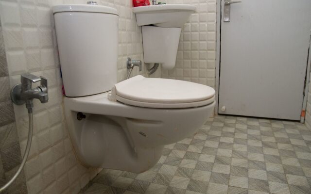 OYO 4065 Hotel Richi