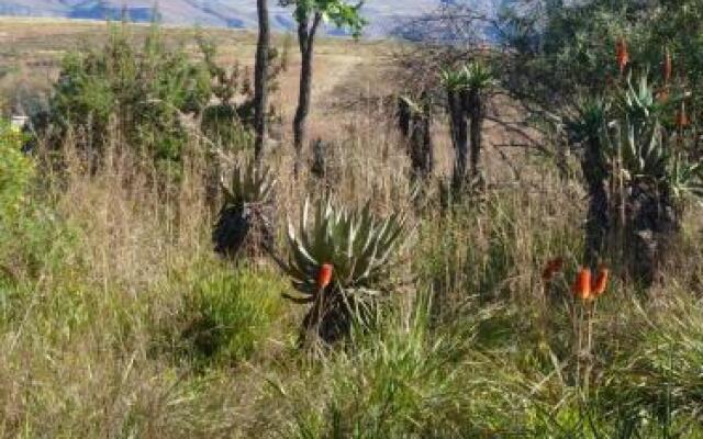 Inkosana Berg Lodge
