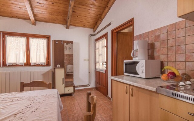 Nice Home in Visnjan With Wifi and 0 Bedrooms