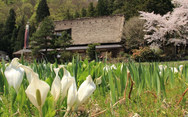 Akao-Kan