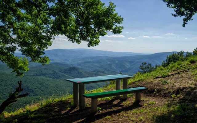 Rural Homestead Trenkovo