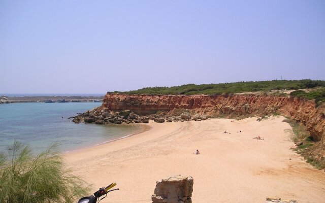 El Olivar de Roche Viejo
