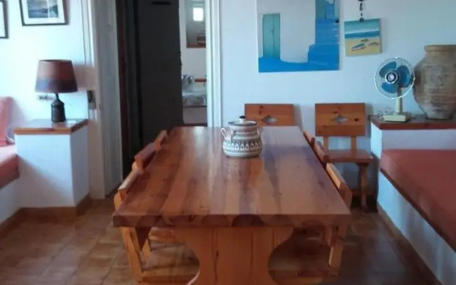 The large bougainvillea house