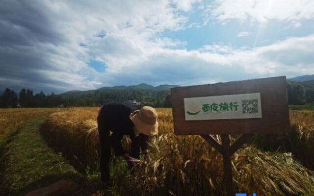 Shaxi Xipi OneRoom B&B