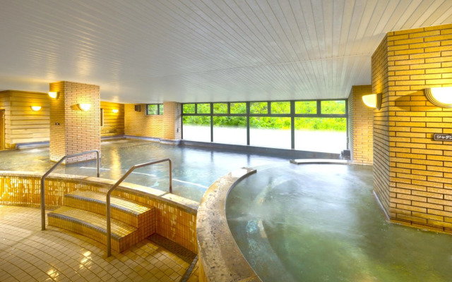 Hotel Green Plaza Hakuba
