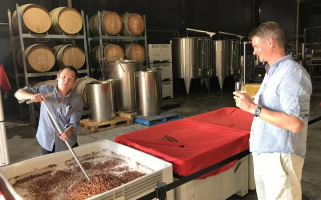 Courtyard Cottage Healesville, Close To Everything