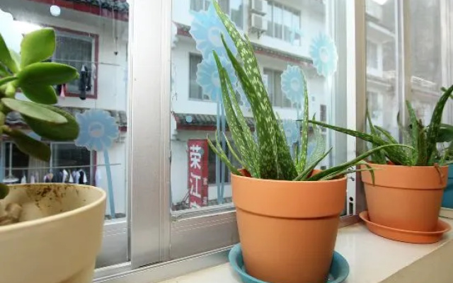 Yangshuo Fenglin Evening Inn (Bus Terminal Opera House Store) – Outside – Guilin