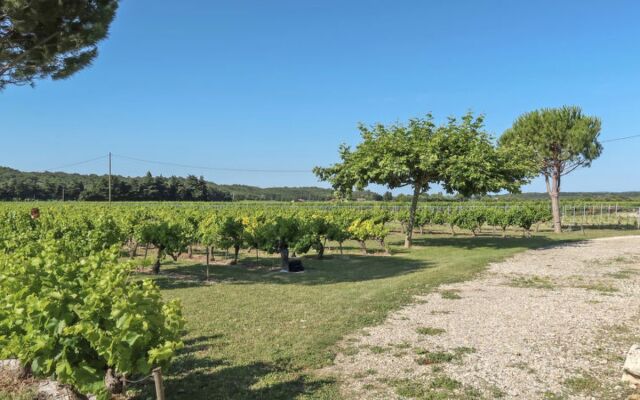 La Cardeline (GRG200)