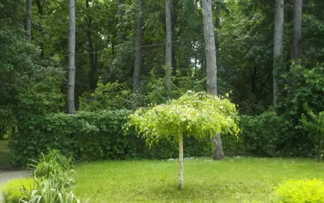 Füred Erdei Vendégház