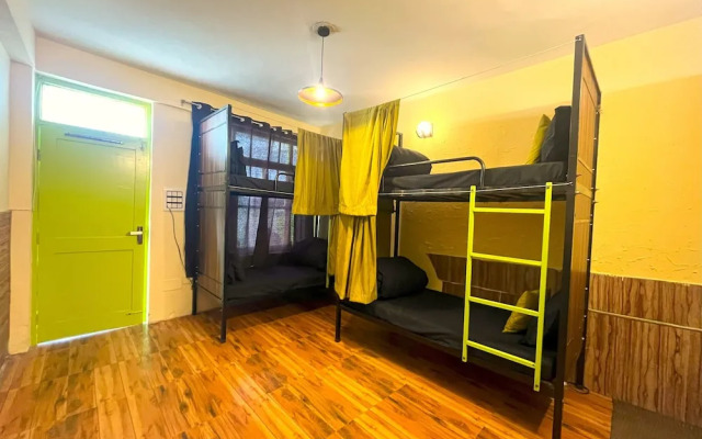 Trippy Turtle Hostel