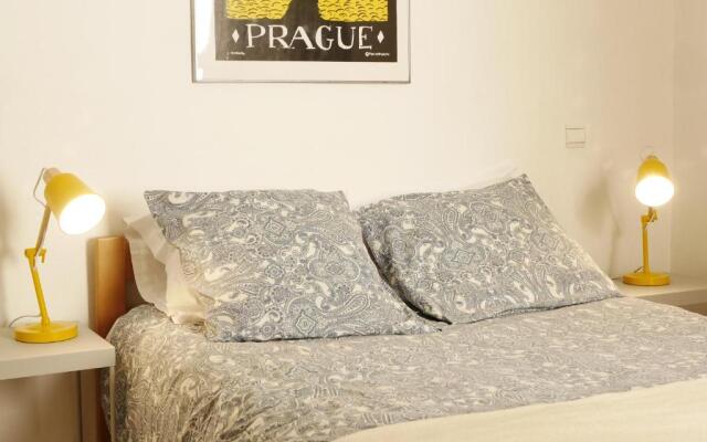 Les Oiseaux de Passage