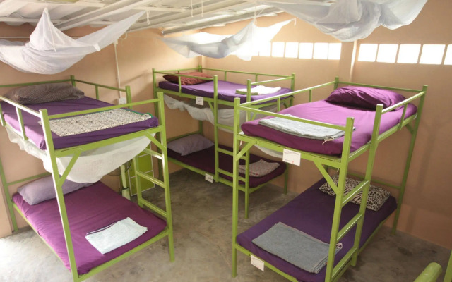 Purple Monkey Backpackers