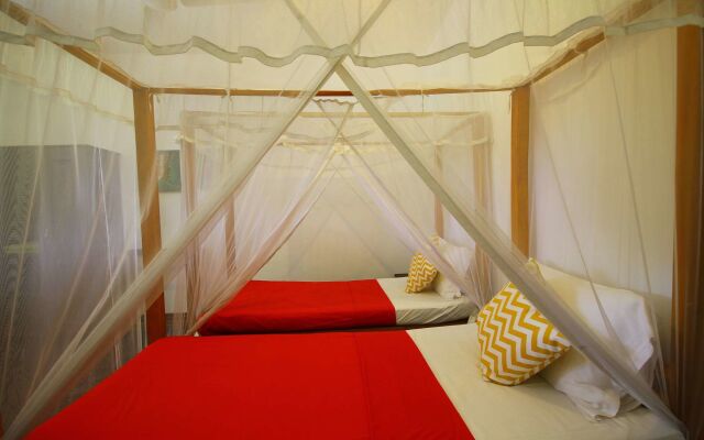 Bed and Bunk
