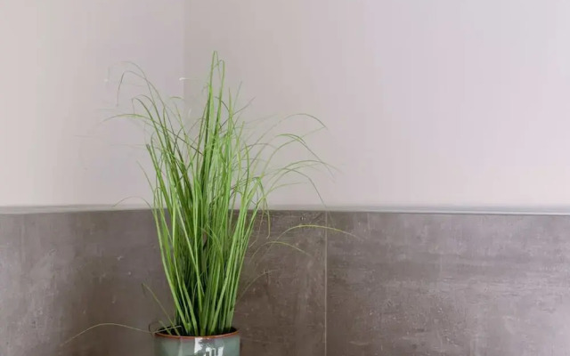 Beautiful High Quality Duplex Apartment