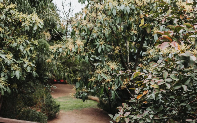 The Blue Door Guesthouse