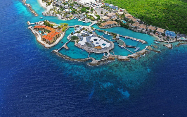 Dolphin Suites & Wellness Curacao