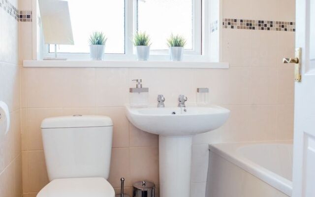 The Melin Griffin House