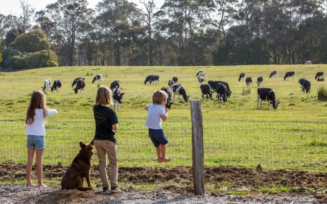 Redgate Forest Retreat