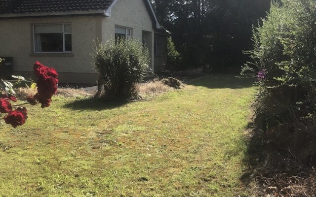 The Bungalow